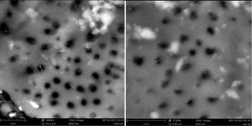 ����̿ȥ��ݬȥ��