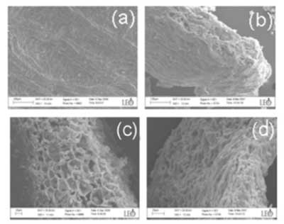 ����̿ʹ���Ȼ��F�